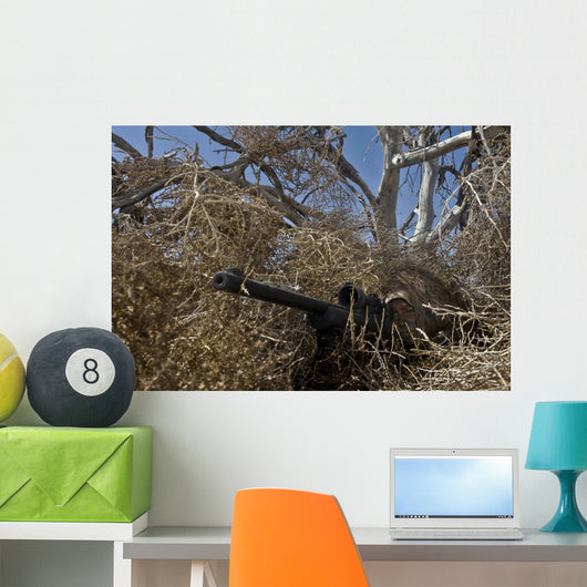 Soldier Demonstrates How Camouflaged Wall Decal