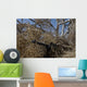 Soldier Demonstrates How Camouflaged Wall Decal