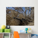 Soldier Demonstrates How Camouflaged Wall Decal