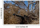 Soldier Demonstrates How Camouflaged Wall Decal
