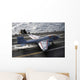 Ea-6b Prowler Takes off Wall Decal