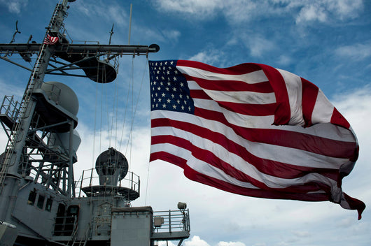 Uss Cowpens Flies Large Wall Decal