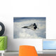 Us Air Force F-22 Wall Decal