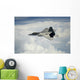 Us Air Force F-22 Wall Decal