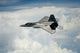 Us Air Force F-22 Wall Decal