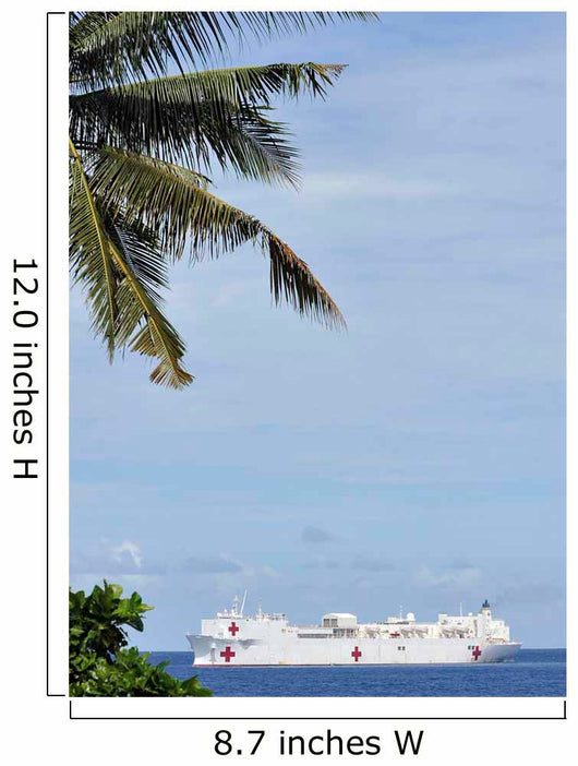 Military Sealift Command Hospital Wall Decal
