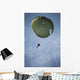 Airman Descends through Sky Wall Decal
