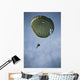 Airman Descends through Sky Wall Decal
