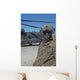Us Army Soldier Stands Wall Decal