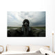 Self-portrait Aerial Combat Photographer Wall Decal Design 5
