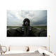 Self-portrait Aerial Combat Photographer Wall Decal Design 5