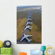 C-5 Galaxies Align Runway Wall Decal