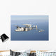 Two E-2c Hawkeye Aircraft Wall Decal
