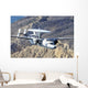 E-2c Hawkeye Aircraft Flies Wall Decal