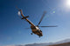 Afghan Air Force Mil Wall Decal