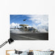 F A-18c Hornet Flies Wall Decal