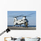 Aviation Boatswain's Mate Directs Wall Decal Design 4