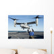 Aviation Boatswain's Mate Signals Wall Decal