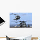 Mh-60s Sea Hawk Approaches Wall Decal