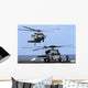 Mh-60s Sea Hawk Approaches Wall Decal