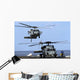 Mh-60s Sea Hawk Approaches Wall Decal