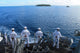Sailors Man Rails aboard Wall Decal Design 1