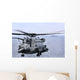 Ch-53e Super Stallion Conducts Wall Decal
