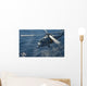 Mh-6os Sea Hawk Helicopter Wall Decal