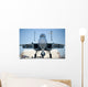 Us Air Force F-15d Wall Decal