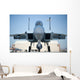 Us Air Force F-15d Wall Decal