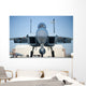 Us Air Force F-15d Wall Decal