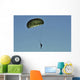 Us Army Paratrooper Participates Wall Decal