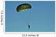 Us Army Paratrooper Participates Wall Decal