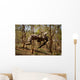 Us Marine Participates Gorge Wall Decal