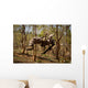 Us Marine Participates Gorge Wall Decal