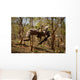 Us Marine Participates Gorge Wall Decal