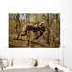 Us Marine Participates Gorge Wall Decal