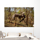 Us Marine Participates Gorge Wall Decal