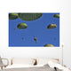 Us Army Paratroopers Participate Wall Decal