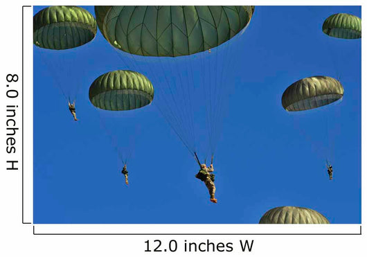 Us Army Paratroopers Participate Wall Decal