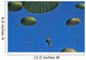 Us Army Paratroopers Participate Wall Decal