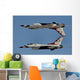Us Air Force Thunderbirds Wall Decal