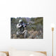 Georgian Soldier Provides Security Wall Decal