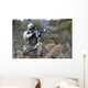 Georgian Soldier Provides Security Wall Decal