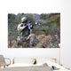 Georgian Soldier Provides Security Wall Decal