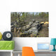 Soldiers Fire M240b Machine Wall Decal