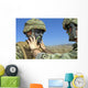 Seaman Has His Face Wall Decal