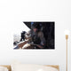 Us Marine Provides Air Wall Decal