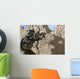 Afghan Commando Keeps Watch Wall Decal