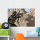 Afghan Commando Keeps Watch Wall Decal